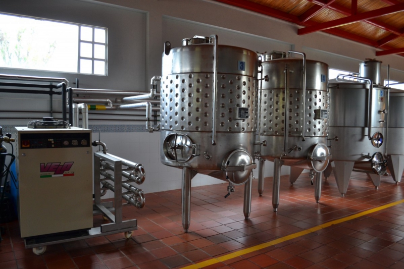 cave-ARTIGUES-min_wine_production_cantine_winery_drink_alcohol_vine_beverage-902036